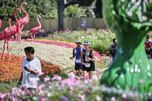 BIB: 
                            <button type="button" onclick="openModal(27793124)" class="btn btn-primary btn-sm float-right btn-popup" data-toggle="modal" data-target=".modal-high-quality">
                        <i class="fas fa-shopping-cart"></i> Add to Cart
                    </button>
                                            <button type="button" onclick="isThisMe(27793124, true)" class="btn btn-success btn-sm float-right btn-popup btn-isme hidden" data-toggle="tooltip" data-placement="bottom" title="นี่คือรูปของคุณใช่ไหม คลิกที่นี่เพื่อเอาเข้าอัลบั้ม">
                        <i class="fas fa-plus"></i> Add to album
                    </button>
                    <button type="button" onclick="isThisMe(27793124, false)" class="btn btn-warning btn-sm float-right btn-popup btn-isnotme hidden">
                        <i class="fas fa-ban"></i> Remove from album
                    </button>